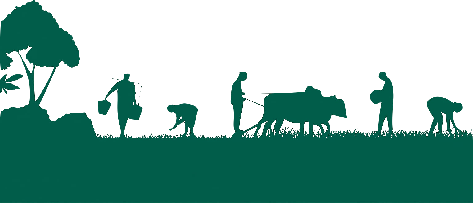 Traditional Farmland & Buffalo Cart